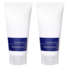 퓨토수딩젤 단골 아이템 소개 – Top5