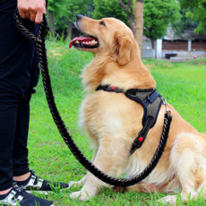 대형견하네스 당신을 위한 특별한 선택, 이 아이템 – Top5