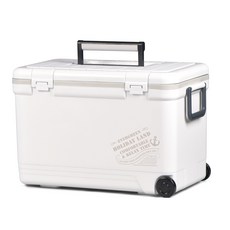 캐리어쿨러 다가오는 시즌 필수 아이템 – Top5