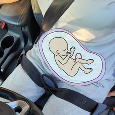 어린이용안전벨트 지금 이 아이템을 구매하지 않으면, 무엇을 사실 것인가요? – Top5