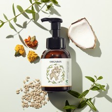 오가본 저렴한 가격 – Top5