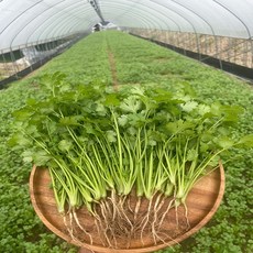 고수 생활을 변화시킬 제품 – Top5