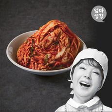 김수미김치10kg 높은 리뷰 평점 상품 – Top5