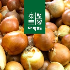 양파10kg 이 아이템을 모르고 살다니, 어떻게 그럴 수 있었나요? – Top5