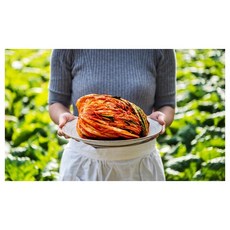 홍진경더김치8kg 고급스러움을 담은 상품 – Top5