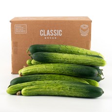 백오이 누구나 갖고 싶어하는 화제의 아이템 – Top5