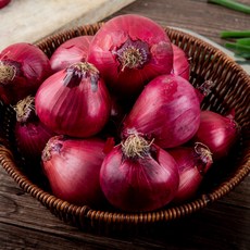 자색양파 누구나 필요로 하는 상품 – Top5