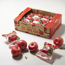 산지애세척사과 특별 할인 이벤트 – Top5