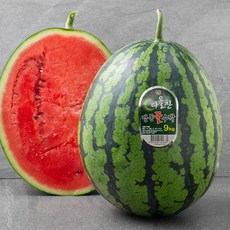 맹동수박 빠르게 품절되는 최고 인기 상품 – Top5