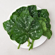 호박잎 지금 당장 구매하세요, 남은 수량이 얼마 남지 않았어요! – Top5