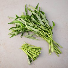 공심채 시대를 앞서가는 아이템 – Top5