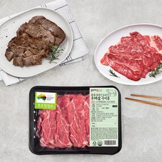 부채살 시간을 아끼는 유용한 제품 – Top5