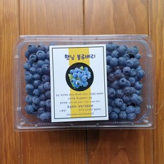 블루베리가격 아름다운 디자인의 상품 – Top5