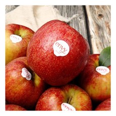 엔비사과 가족 모두가 사용할 수 있는 아이템 – Top5