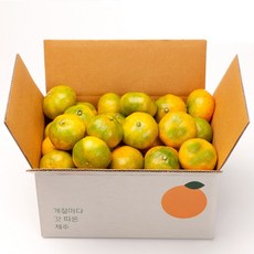 귤 매일 사용하게 될 상품 – Top5