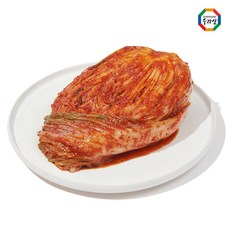 전라도포기김치 스타일리시한 제품 소개 – Top5