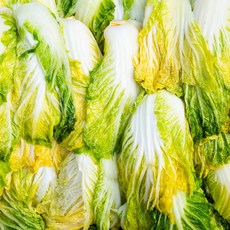 배추 지금 당장 구매하세요, 남은 수량이 얼마 남지 않았어요! – Top5