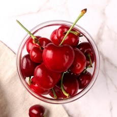 생체리 오늘의 특가 상품 리스트 – Top5