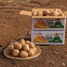 두백감자 당신을 위한 특별한 제품 – Top5