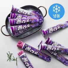 폴라포 우수한 품질의 상품 – Top5