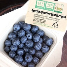 블루베리생과 매일 사용하게 될 상품 – Top5