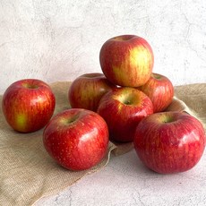 쥬스용사과 2023년의 주목 아이템 – Top5