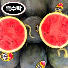 흑수박 신선한 아이디어의 상품 – Top5