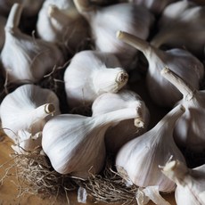 의성마늘 프리미엄 브랜드의 추천 상품 – Top5