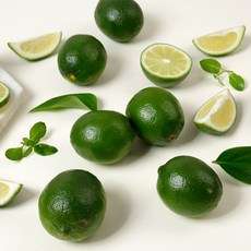 라임 사람들이 왜 이 아이템에 열광하는지 궁금하신가요? 사보세요! – Top5