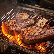 돈마호크 당신의 일상을 책임질 제품 – Top5