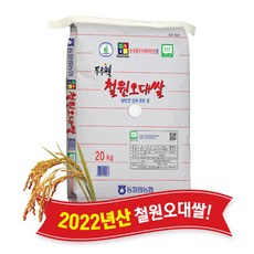 슈퍼오닝고시히카리 리뷰 평점이 높은 상품 추천 – Top5