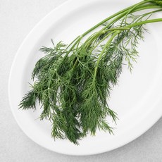 딜 다가오는 시즌 필수 아이템 – Top5