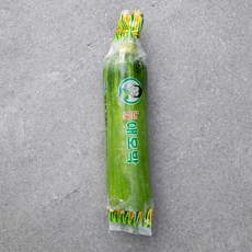 애호박 현재 가장 핫한 상품 추천 – Top5