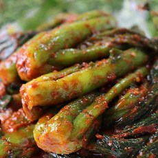 여수곽진영갓김치 다양한 카테고리 추천 – Top5