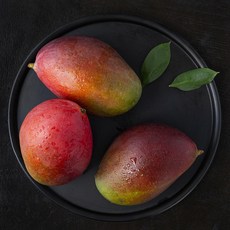 아이스망고바 즐거움을 주는 상품 – Top5