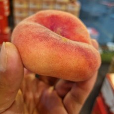 납작복숭아 다양한 카테고리 추천 – Top5