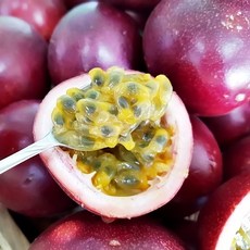 패션후르츠 유용성을 갖춘 상품 – Top5