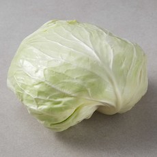 양배추 최고 인기 상품 리뷰 – Top5