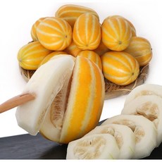 참외10kg 최고 인기 상품 리뷰 – Top5