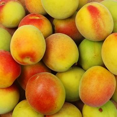 홍매실 시간 절약 아이템 – Top5