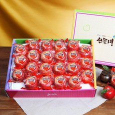 애플리데이세척사과 판매 폭발! 인기 상품 모음 – Top5