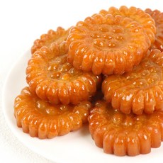 거북이한과 이것! 없이는 안 된다는 필수 아이템 – Top5