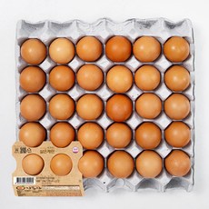 감동란 선호도 대폭 상승하는 상품 – Top5