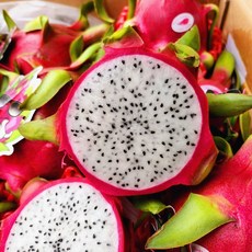 용과 강력한 기능을 자랑하는 상품 – Top5