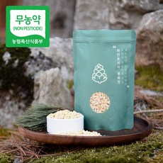 잣 매일 사용하게 될 상품 – Top5