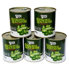 할라피뇨고추 혁신적인 제품 추천 – Top5