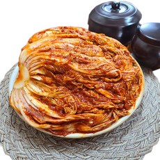 도미솔포기김치 현지인들이 인정한 베스트 아이템 – Top5