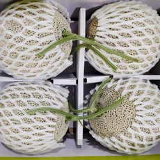 칸탈로프멜론 이 아이템을 놓치면, 미래의 자신이 후회할 거예요. – Top5