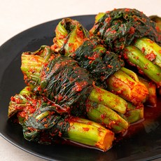 여수갓김치 이 아이템이 없으면, 당신의 삶은 어떨까요? – Top5