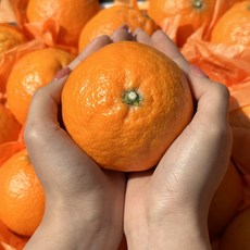 카라향 세상에 하나뿐인 아이템 – Top5